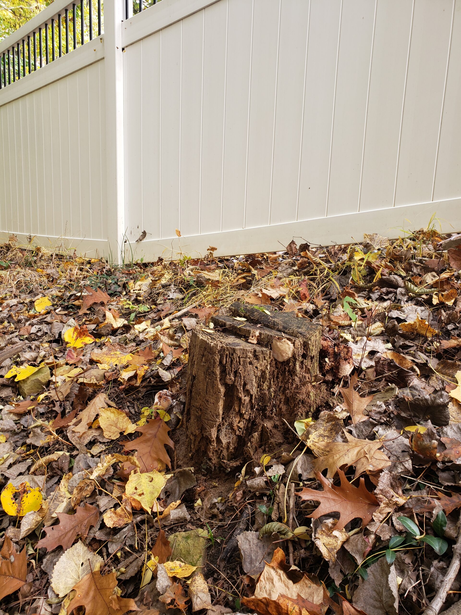 stump next to the fence