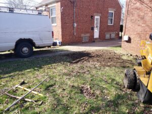 This is what the place looks like now that the bush has been removed and its roots have been crushed. New plants can be planted on the same day.