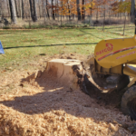 Service for tree stump removal by grinding.