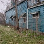 stump grinding close to house