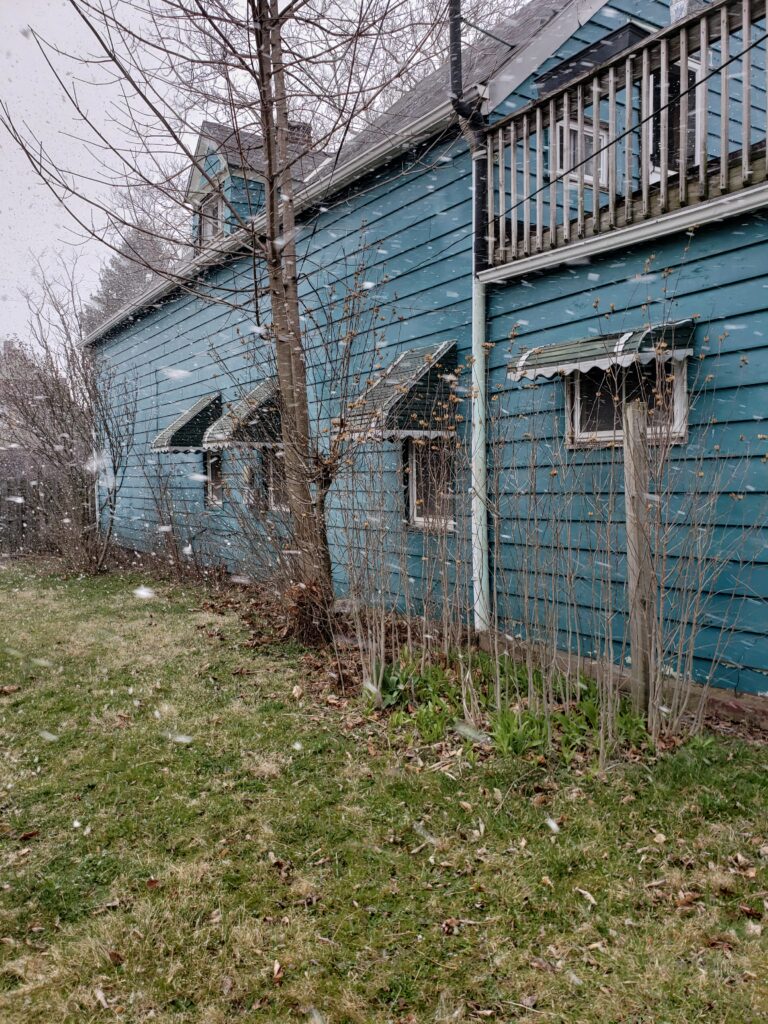 stump grinding close to house