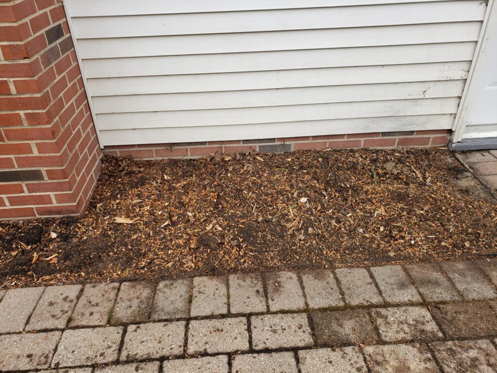 Loose soil mixed with sawdust near the foundation of the house.