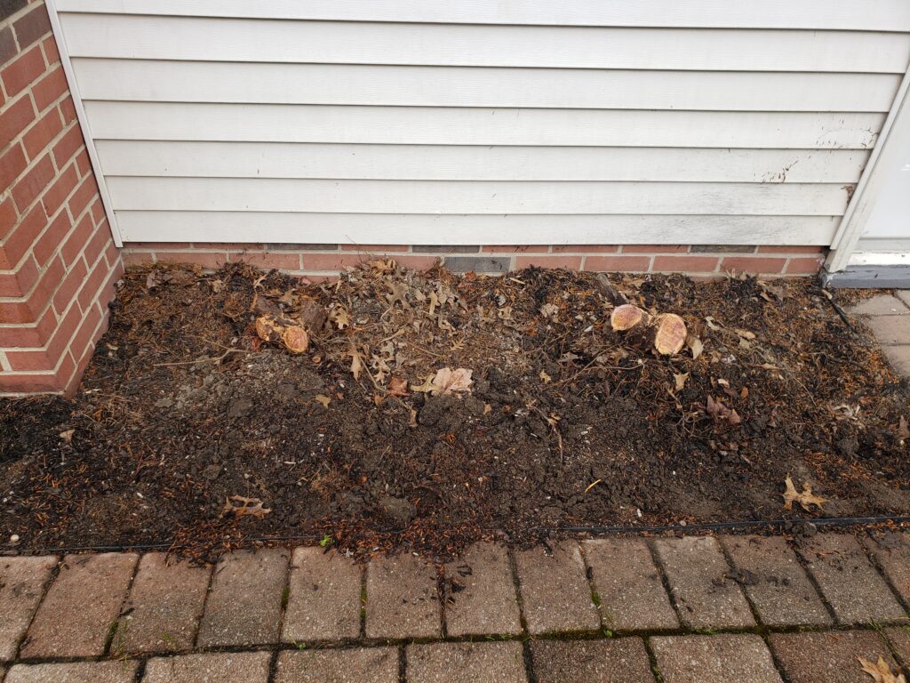 Small stumps of bushes near the foundation of the house.