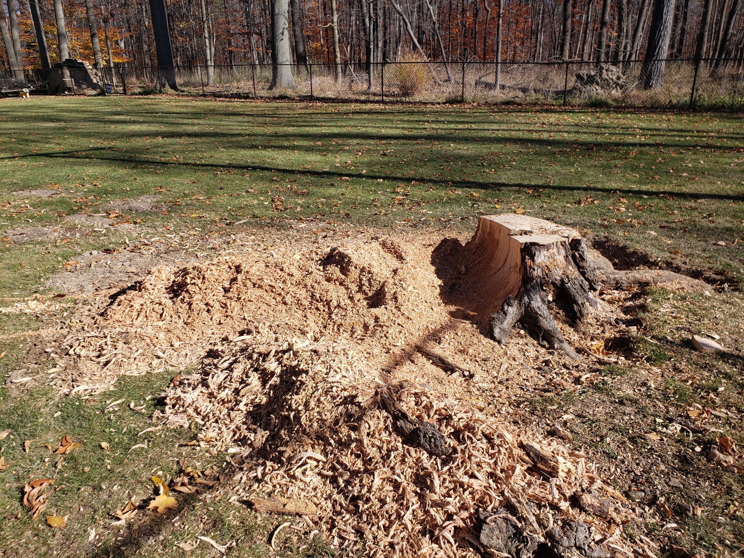 Mulch left after stump grinding doesn’t have to go to waste — it can be reused for soil improvement, landscaping, composting, erosion control, or pathways.