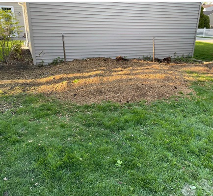 The Benefits of Stump Grinding: Why It’s Effective, Worth It, and Often Necessary. Learn the real pros and cons of stump grinding, including cost, safety, cleanup, and long‑term yard impact. Understand when grinding is the best choice and what to expect from professional stump removal services.
