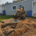 We are a local stump grinding company throughout northern Ohio. Call us 216.767.6323. Just Stump It LLC.