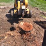 We are a local stump grinding company throughout northern Ohio. Call us 216.767.6323. Just stump It LLC.