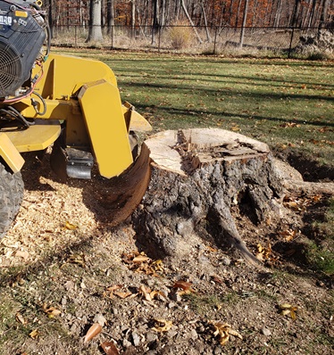 The stump is crushed by a grinder.