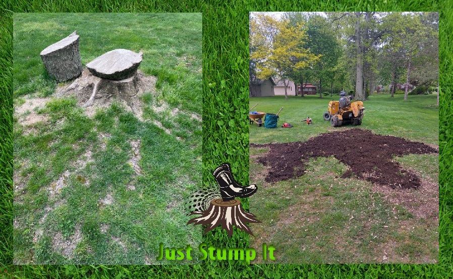 Grinding a stump on the lawn. The stump is gone, the sawdust has been removed. Instead, there is black garden soil. Just Stump It LLC.