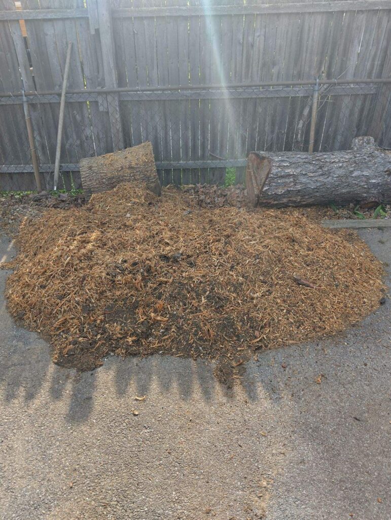 Stump after grinding
