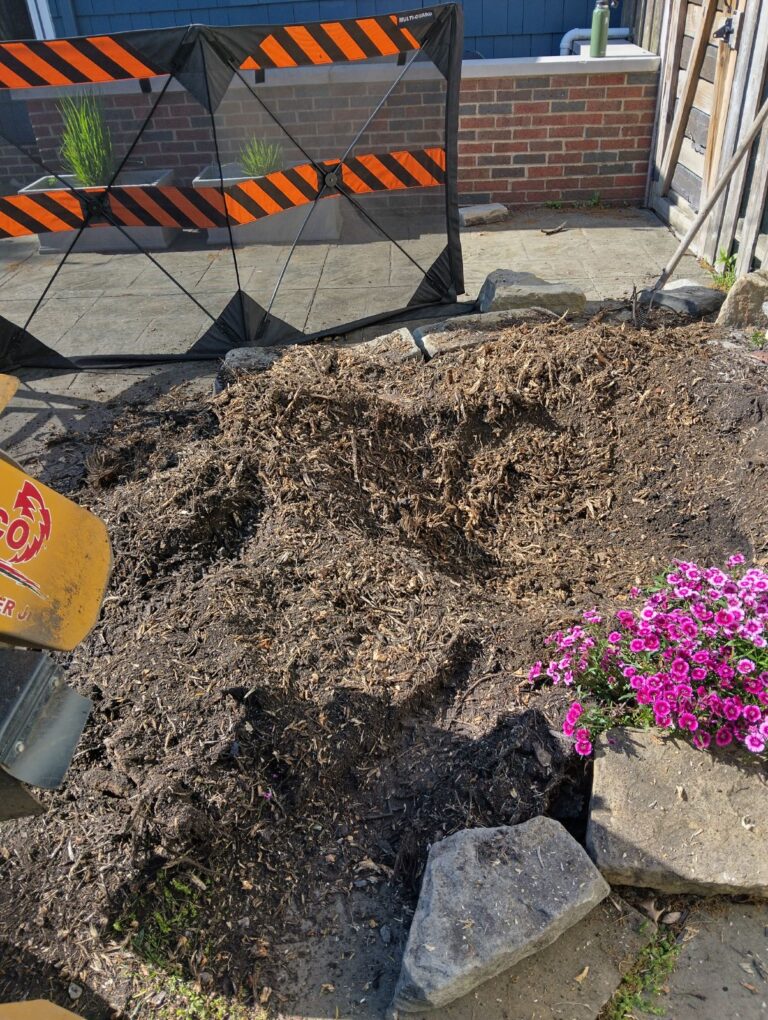 stump on a landscaped area after grinding