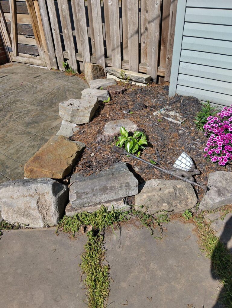 stump on a landscaped area before grinding