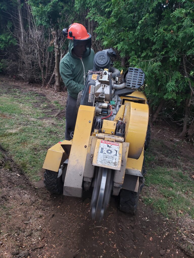 Stump grinding person.