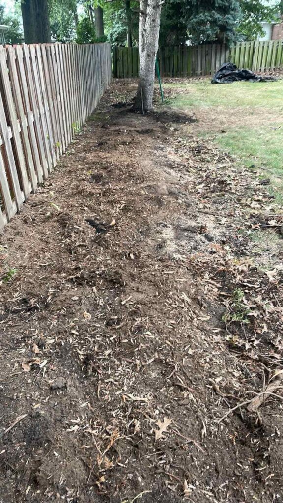 A strip of loose soil next to the fence.