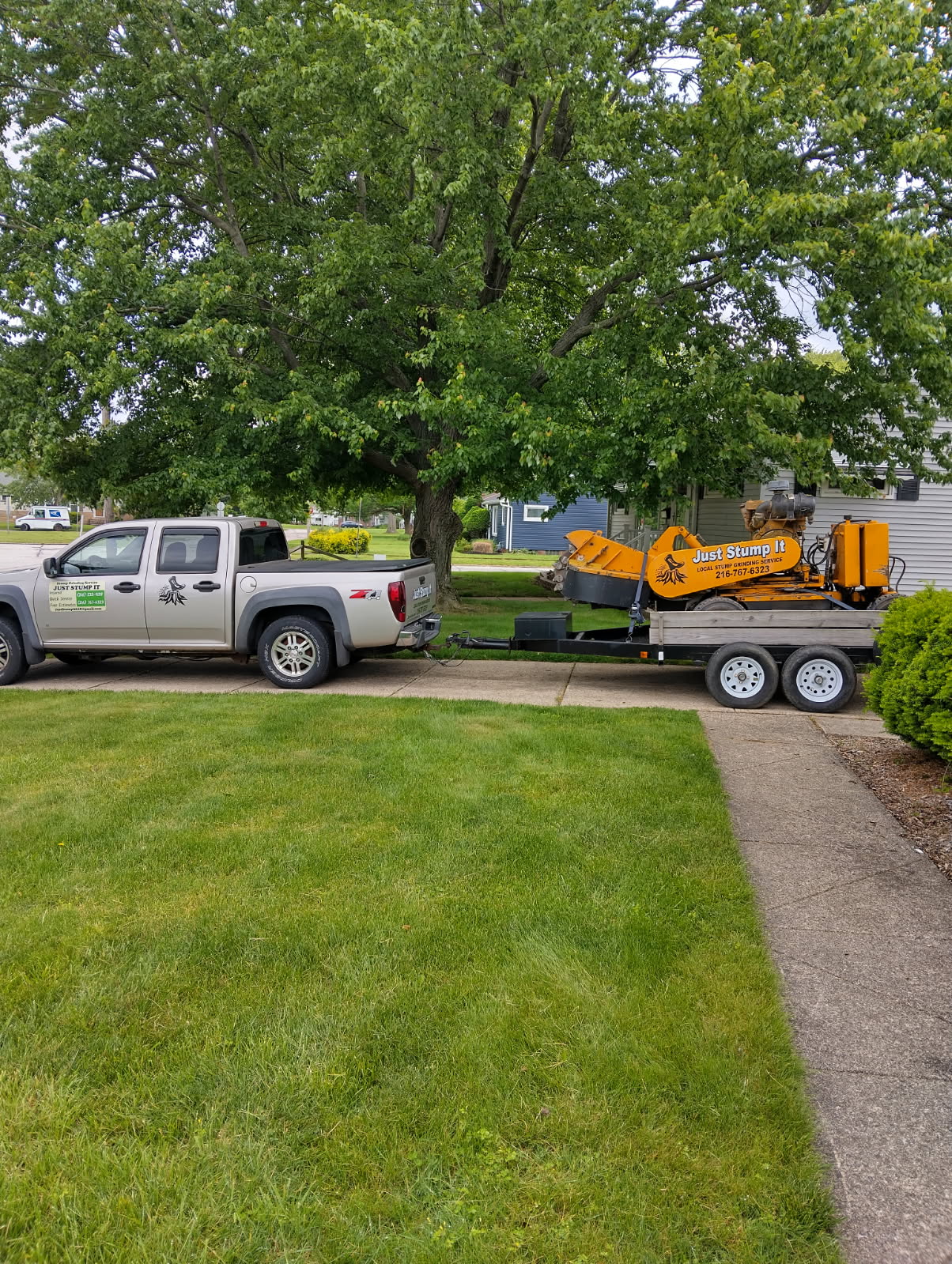 Our family has owned a tree stump removal company since 2022. 