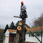 "Danny's Tree Service" company. Danny on a felled tree.