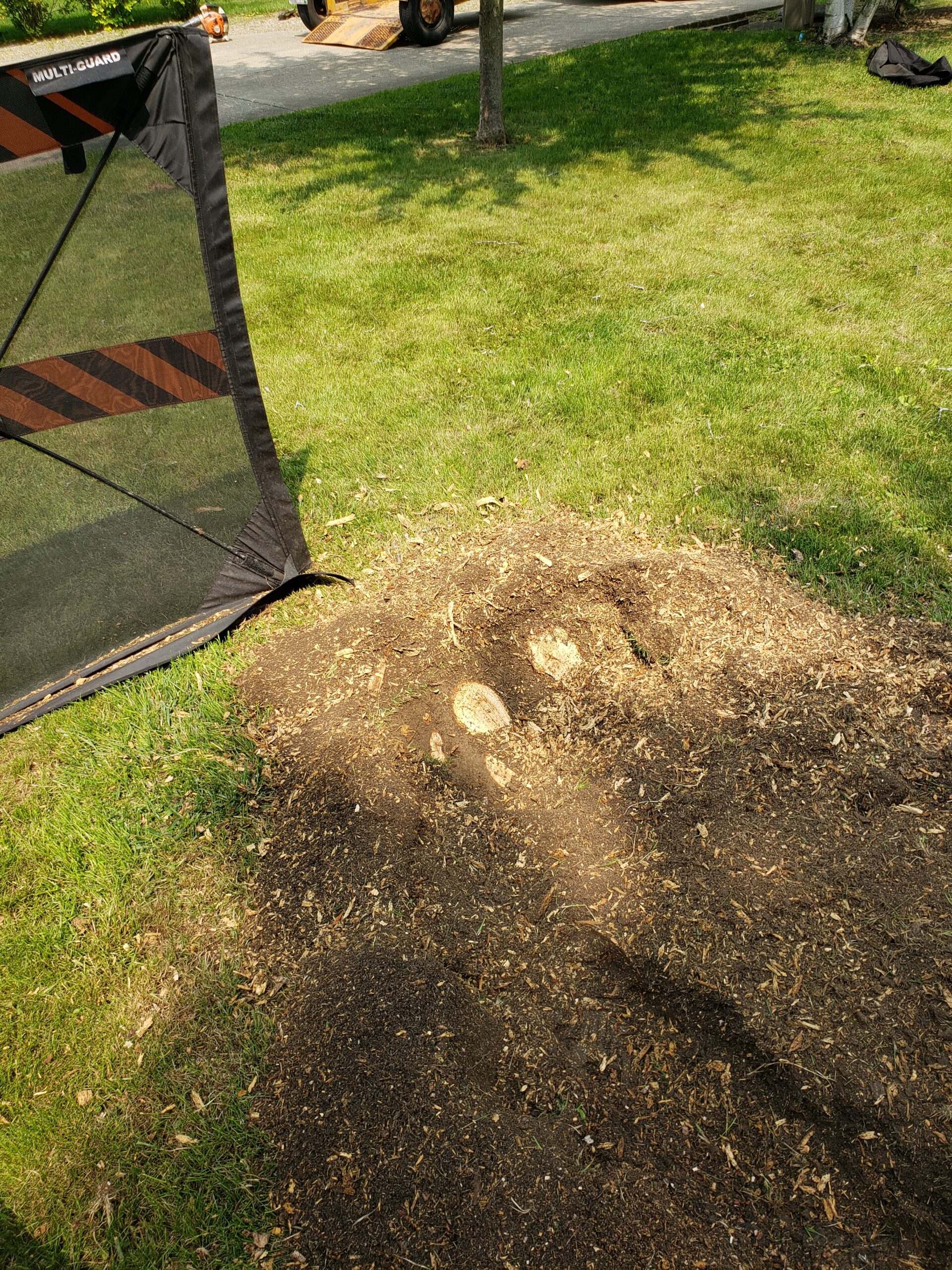 2.15 stump removal