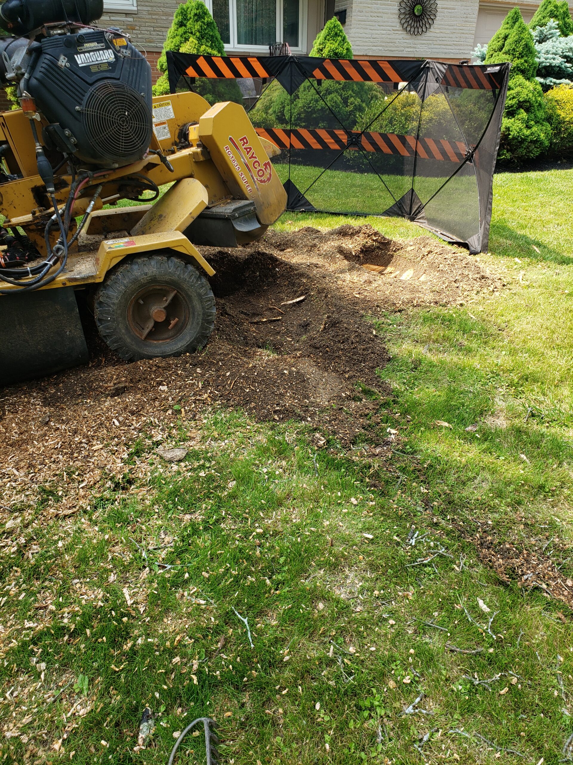 2.19 stump removal