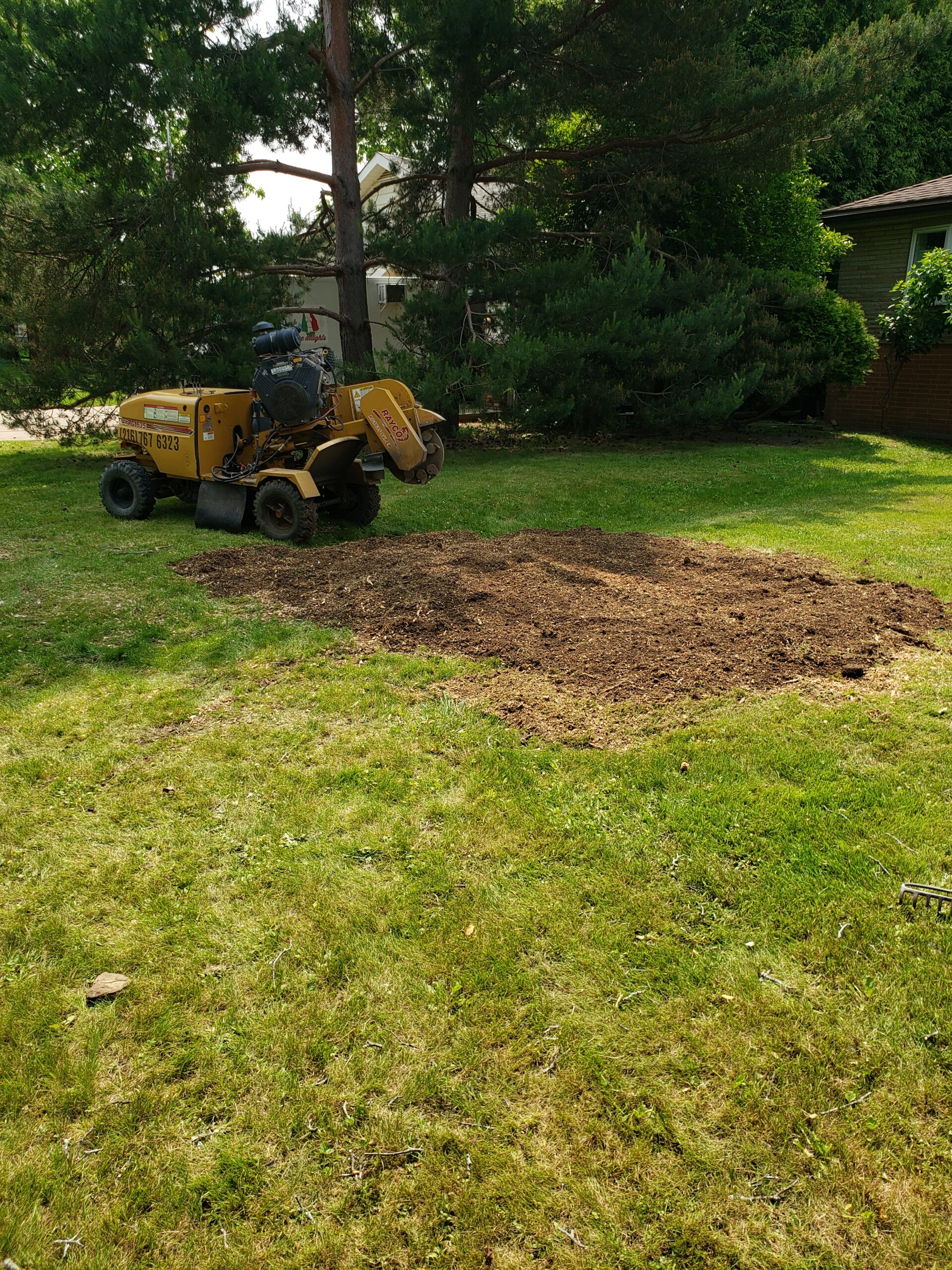 2.33 stump removal