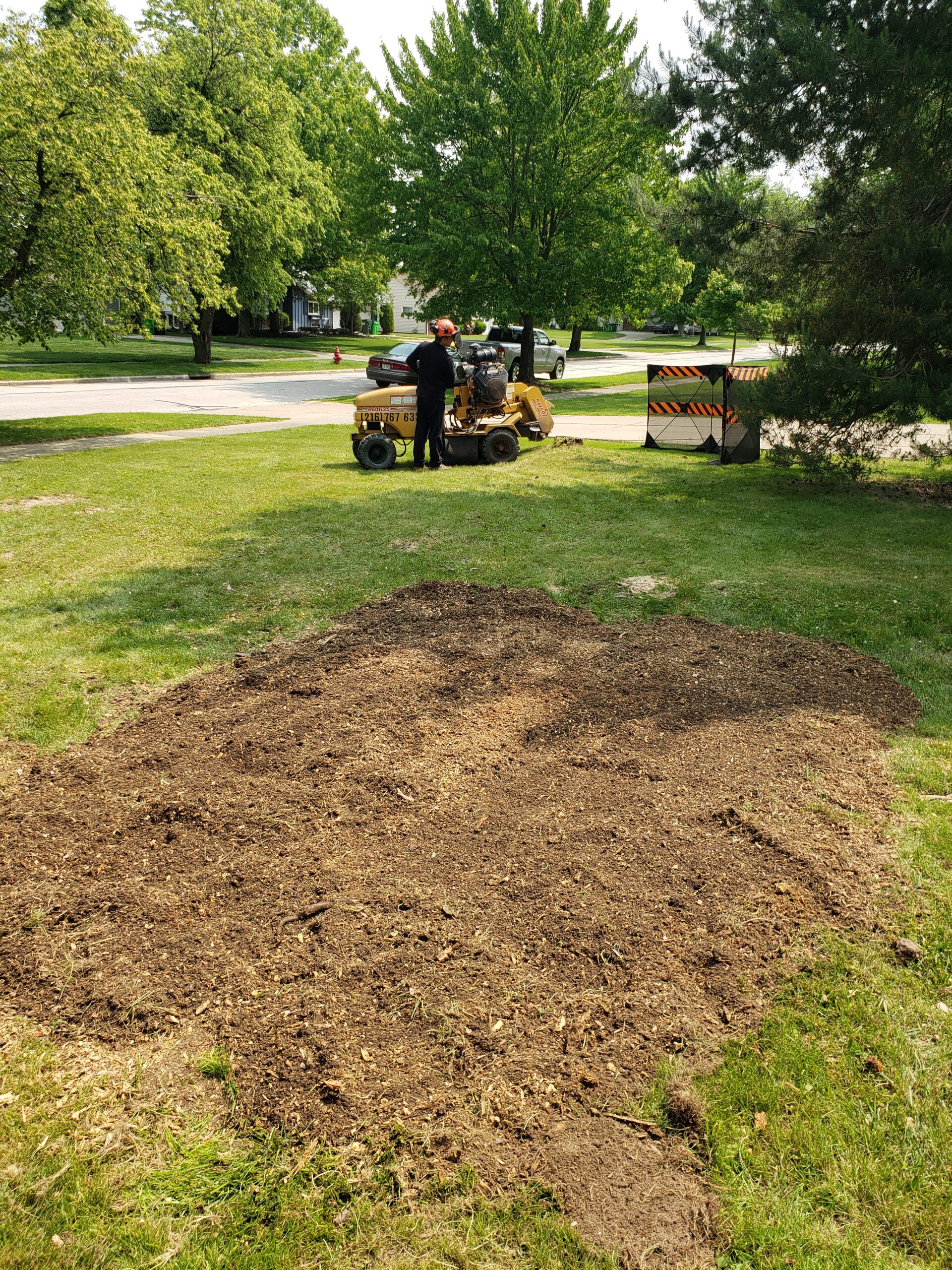 2.35 stump removal