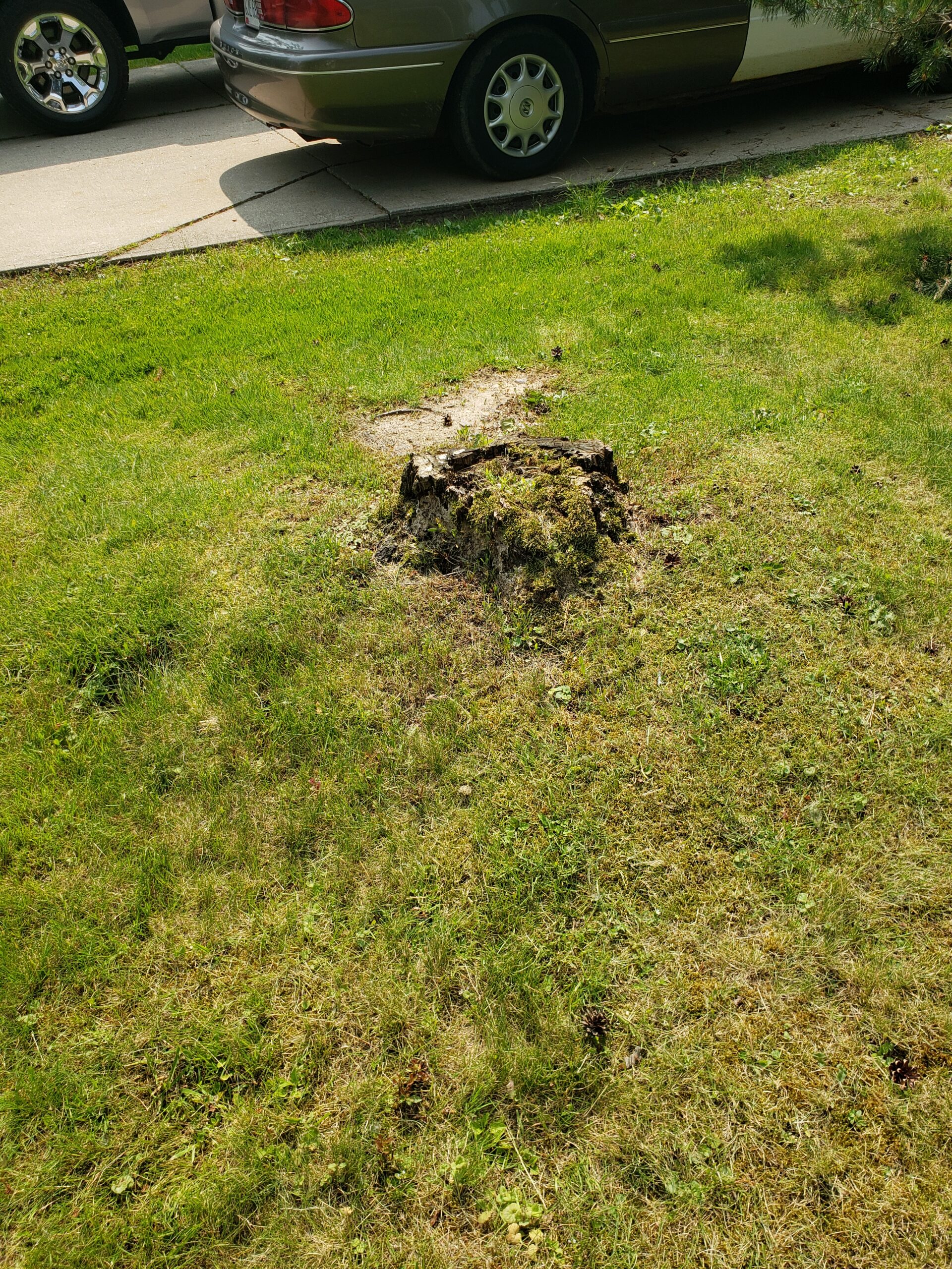 2.4 stump removal