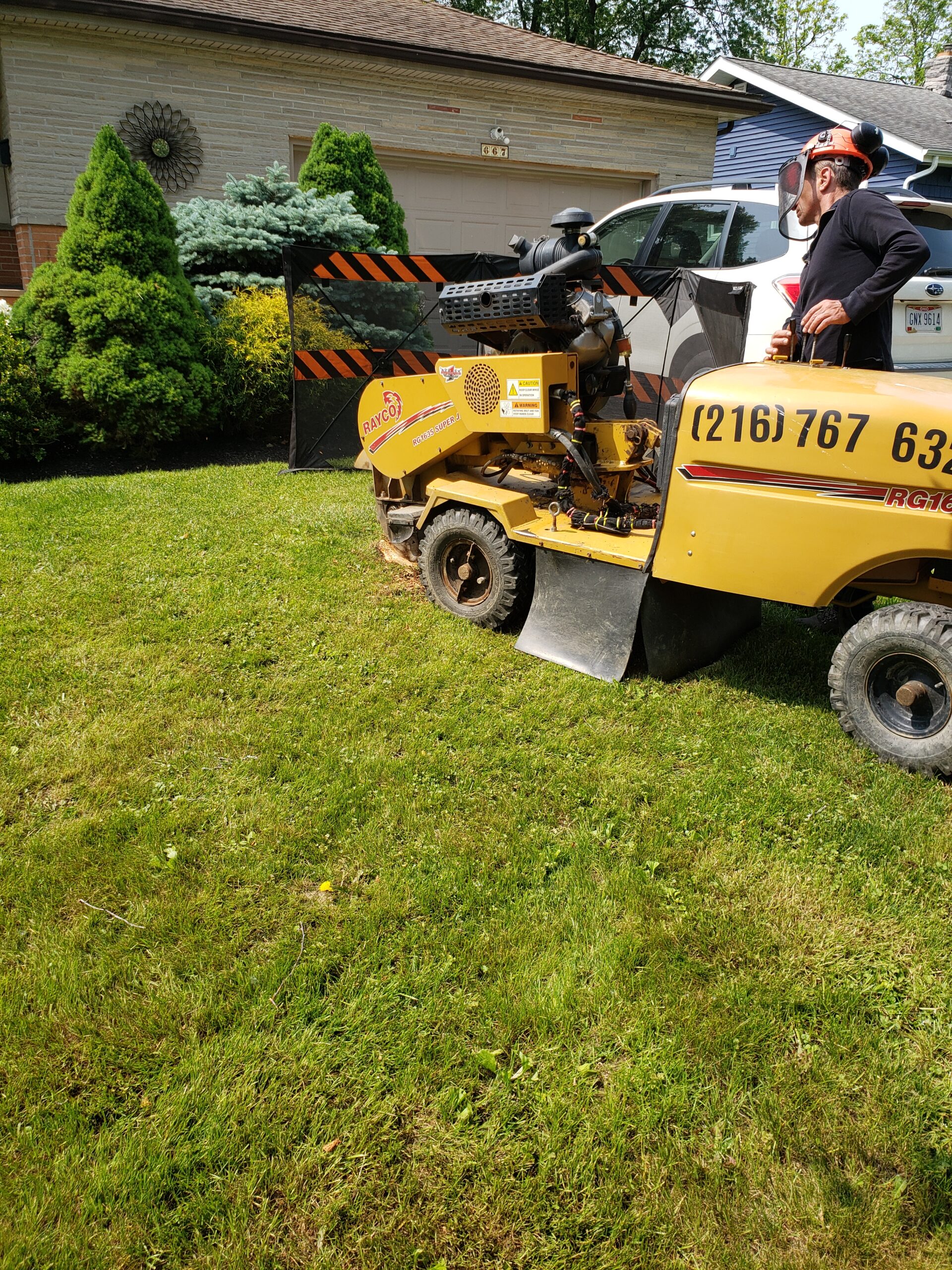 2.5 stump removal