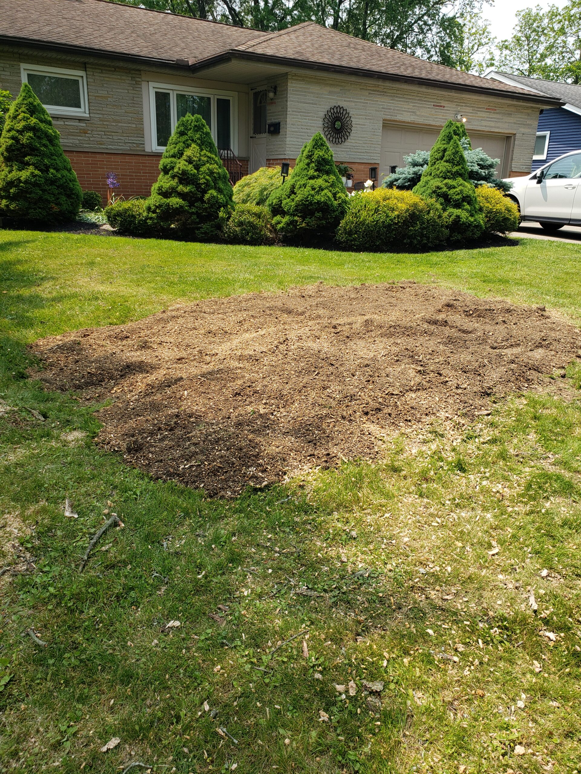 2.53 stump removal