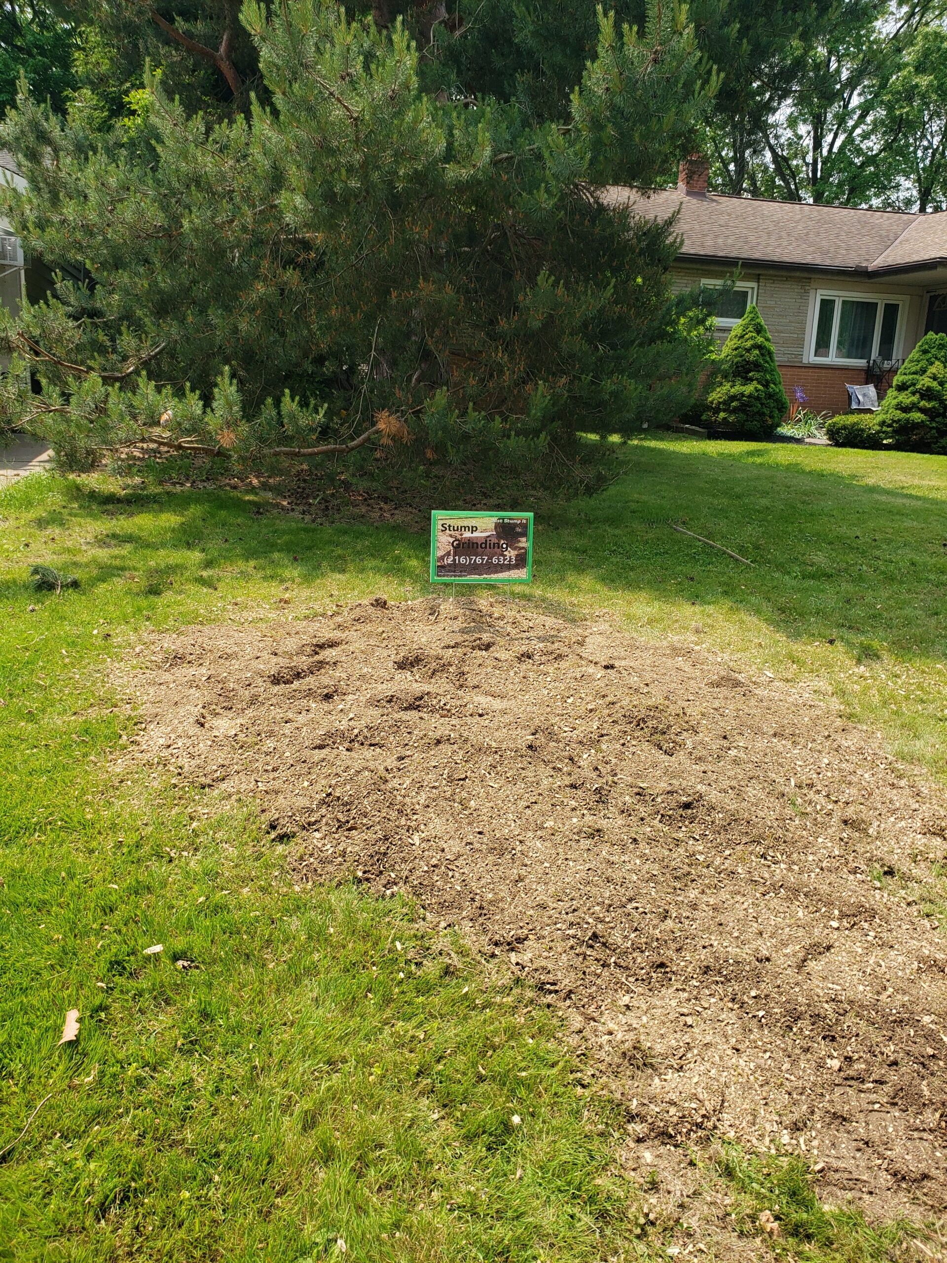 2.54 stump removal