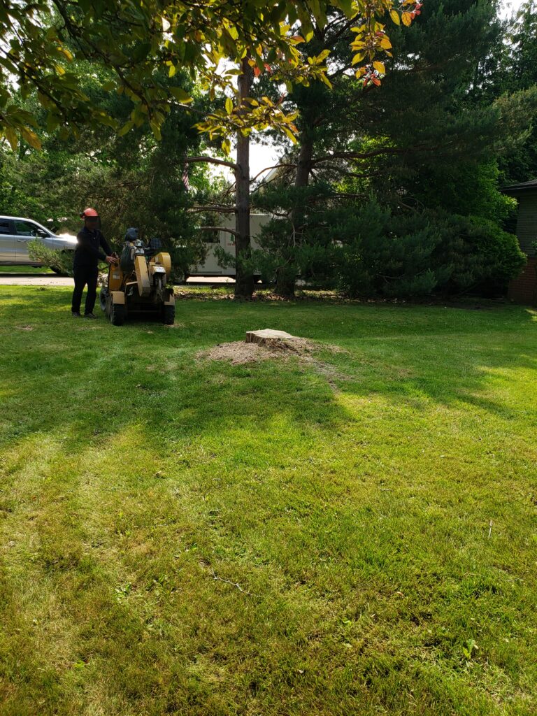 Your yard called—it wants that stump gone. The Safety Upgrade** When the Johnson kids tripped over the old stump for the third time, their parents knew it was time. One afternoon of stump removal turned their backyard from a hazard zone into a safe play space. Now, the kids race across the lawn without worry — and the stump is just a memory.