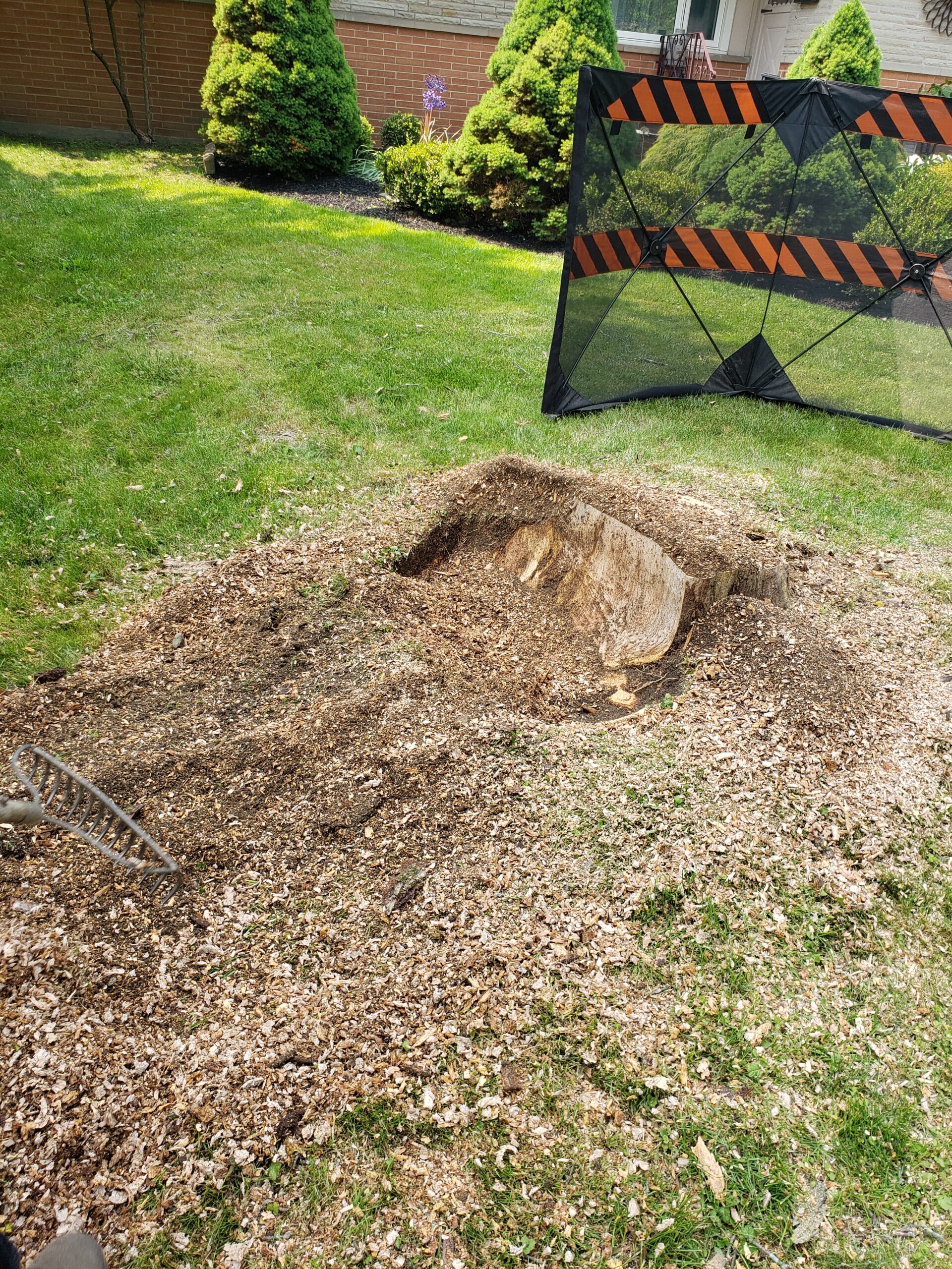 2.8 stump removal