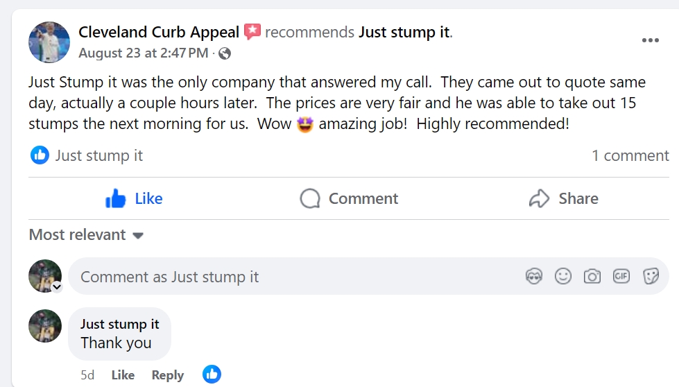 review for just stump it 1