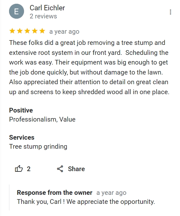 review for just stump it 3