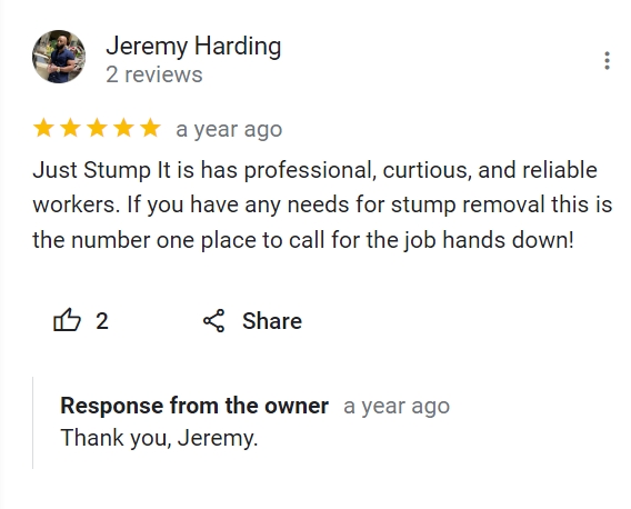 review for just stump it 4