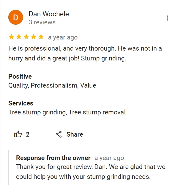 review for just stump it 5