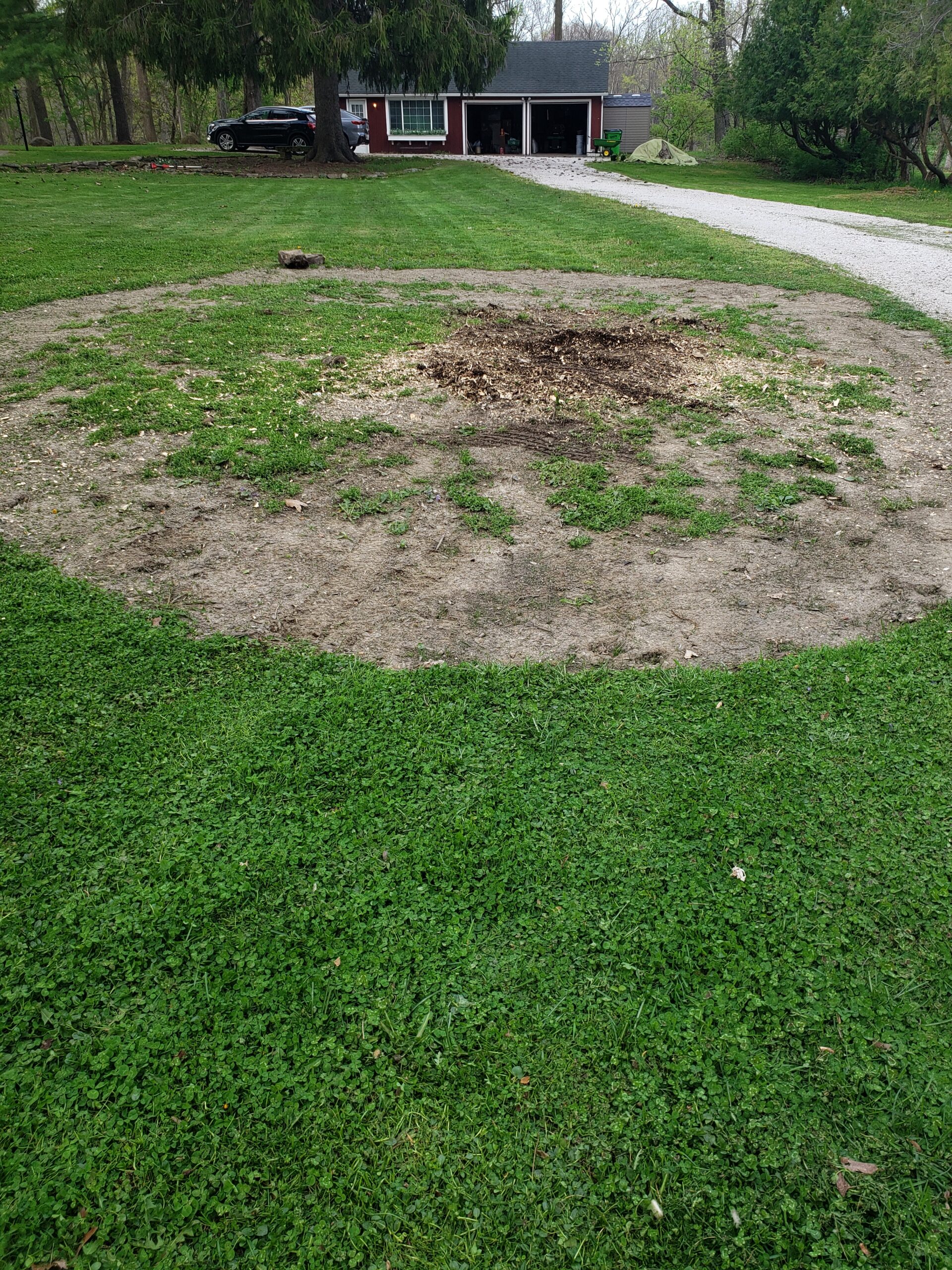 stump grinding after