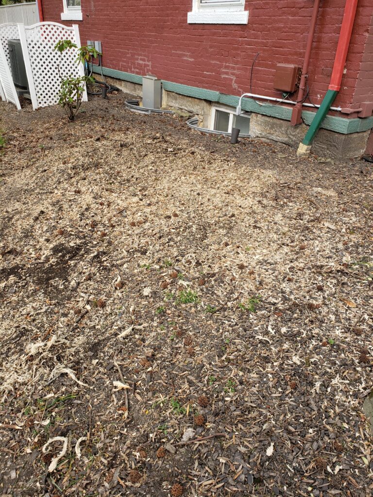 stump grinding after