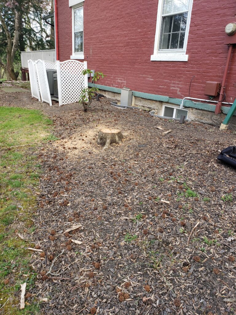 stump grinding before