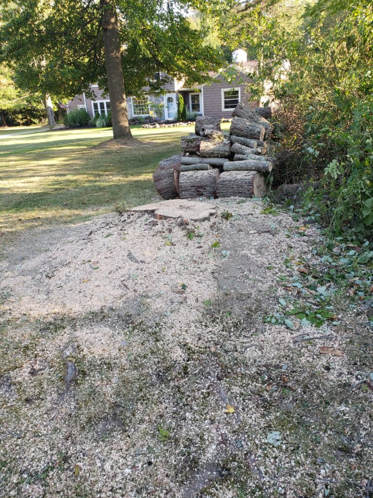 Stump out. Style in. No stump too tough. We clear the way for beauty and safety.