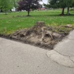 We axe the stump, you relax the lawn. The Property Upgrade** A couple preparing to sell their house realized the stump in the front yard was hurting curb appeal. Once removed, the yard looked polished, and the home sold faster than expected. The stump removal turned into a smart investment.