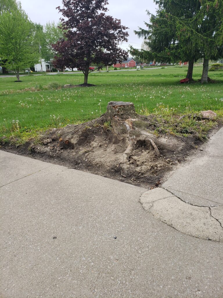 We axe the stump, you relax the lawn. The Property Upgrade** A couple preparing to sell their house realized the stump in the front yard was hurting curb appeal. Once removed, the yard looked polished, and the home sold faster than expected. The stump removal turned into a smart investment.