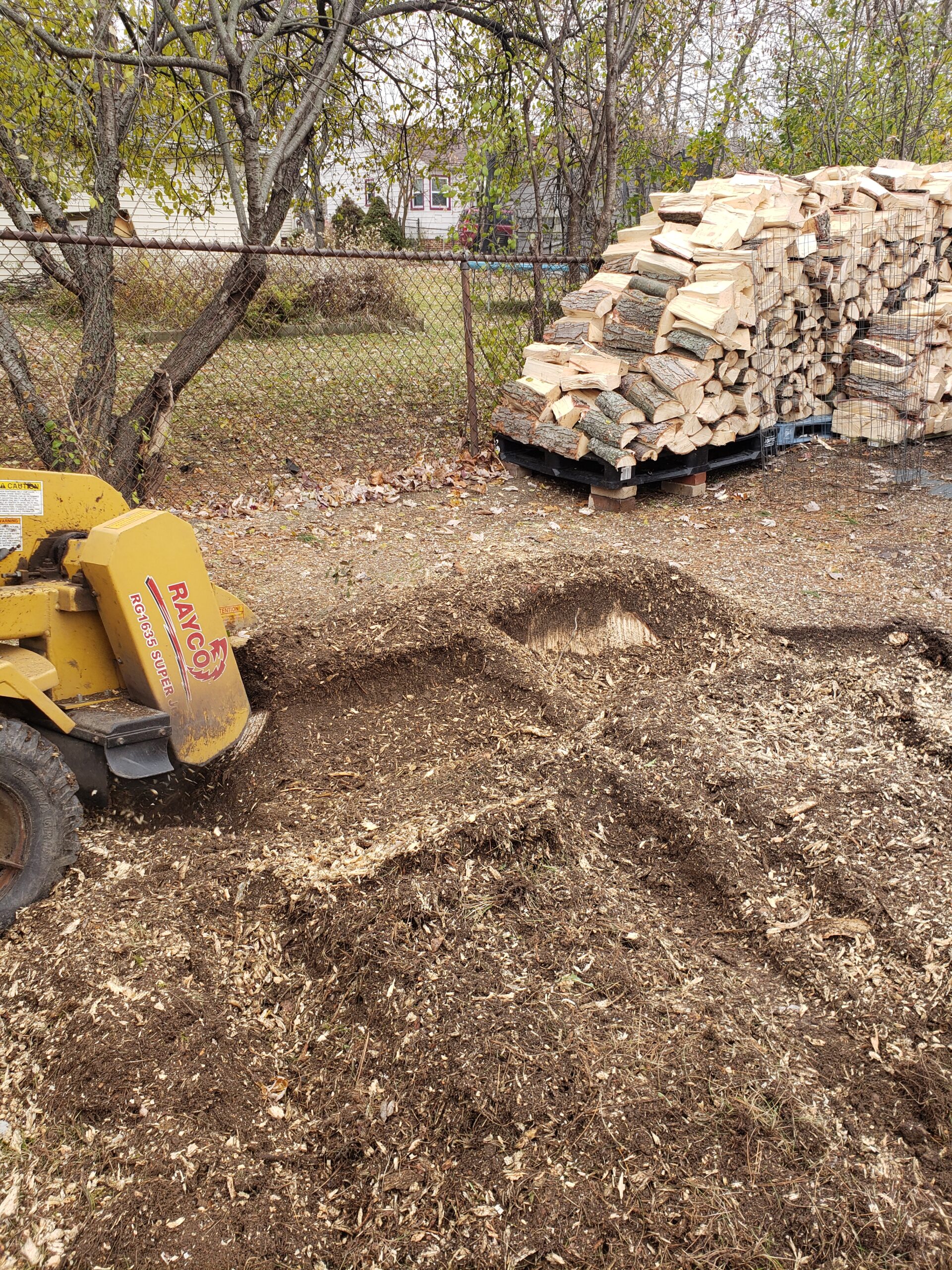 Your removed tree gets repurposed into neatly cut firewood, ready to keep your home cozy all seasons.