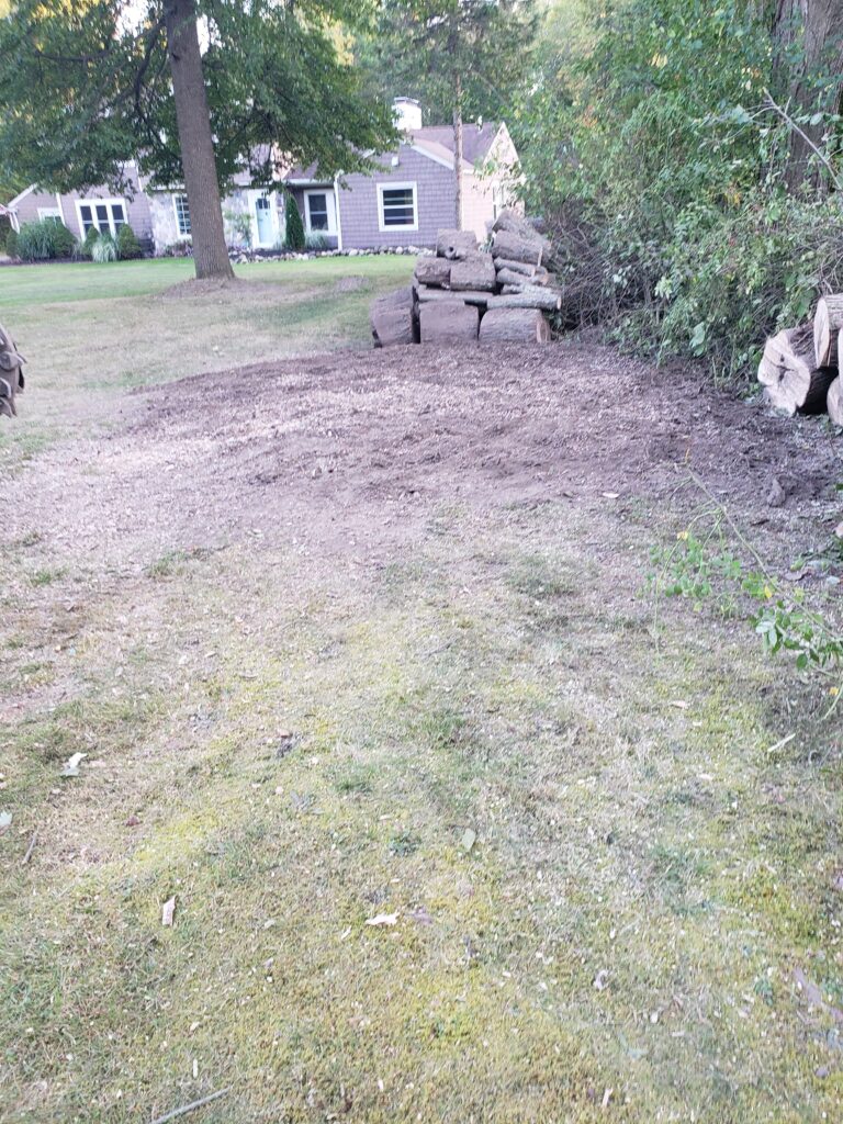 Clear the ground, grow the dream. From eyesore to open space — stump gone, yard reborn!