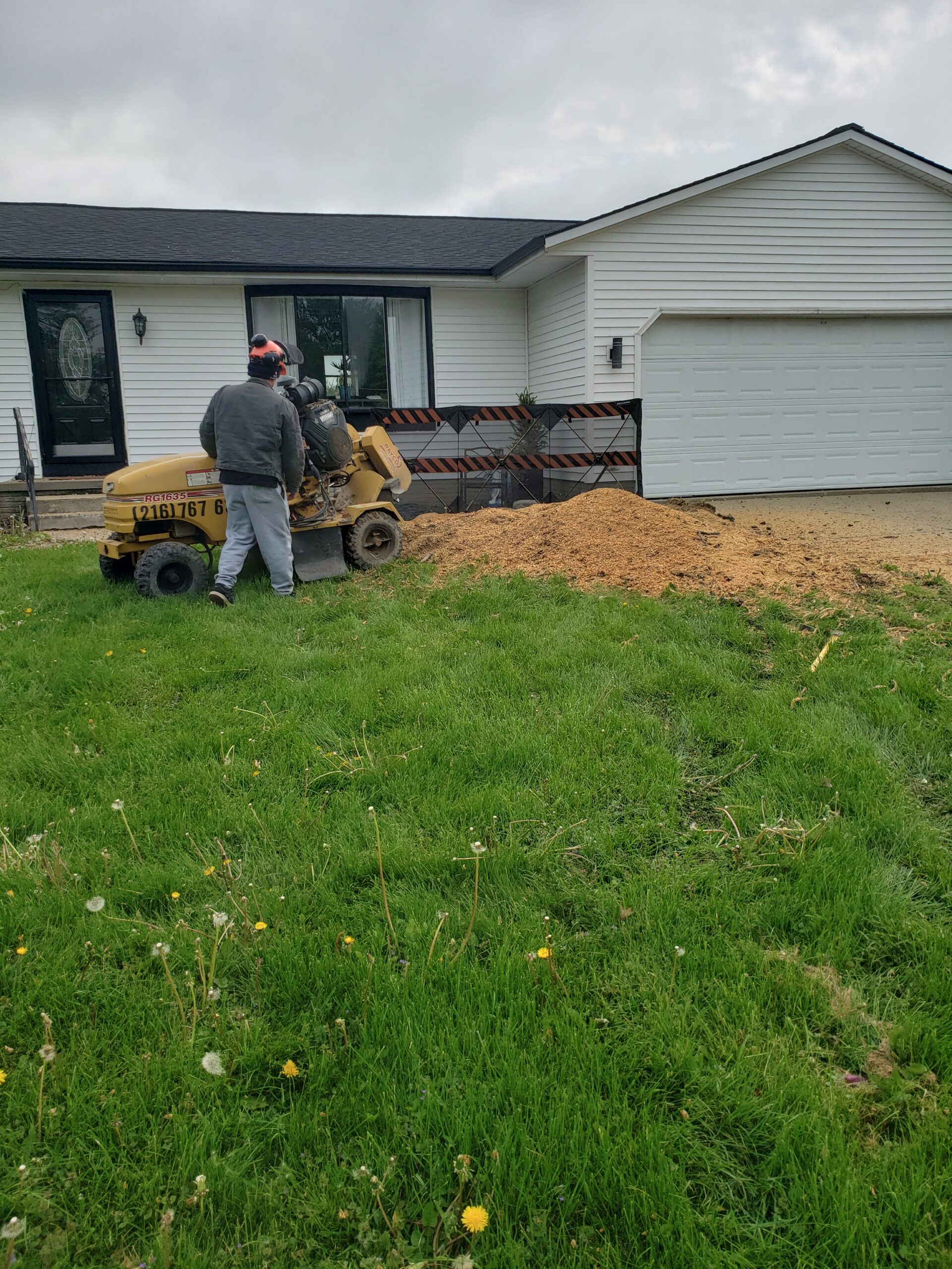 From stump to stunning—watch your yard transform! The Smooth Mow. Every weekend, mowing around the stump was a hassle. The mower blades nicked the edges, and grass grew unevenly. After removal, mowing became effortless, and the lawn looked clean and uniform for the first time in years.
