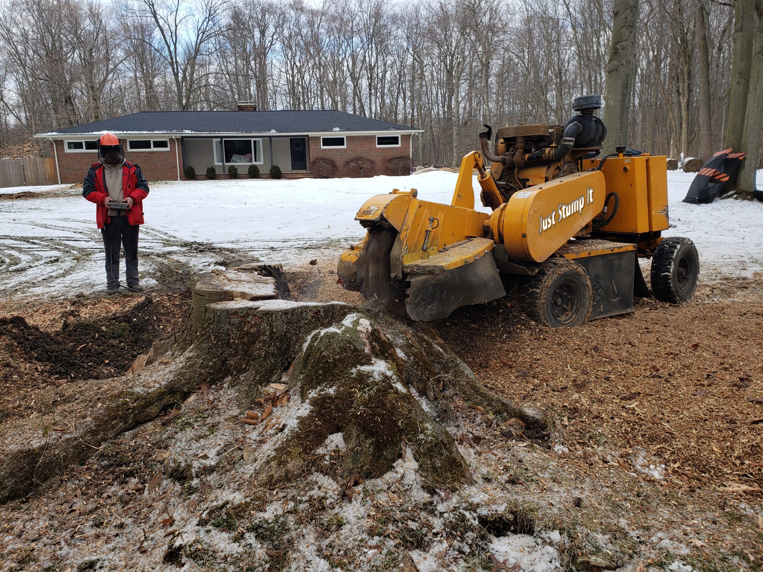 Our family has owned a tree stump removal company since 2022. 