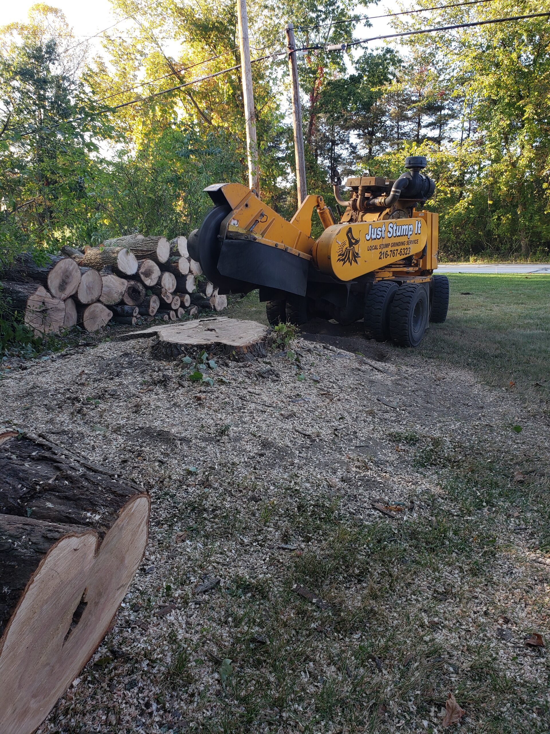 From eyesore to opportunity. Goodbye hazard, hello fresh start. Stump removal made simple.