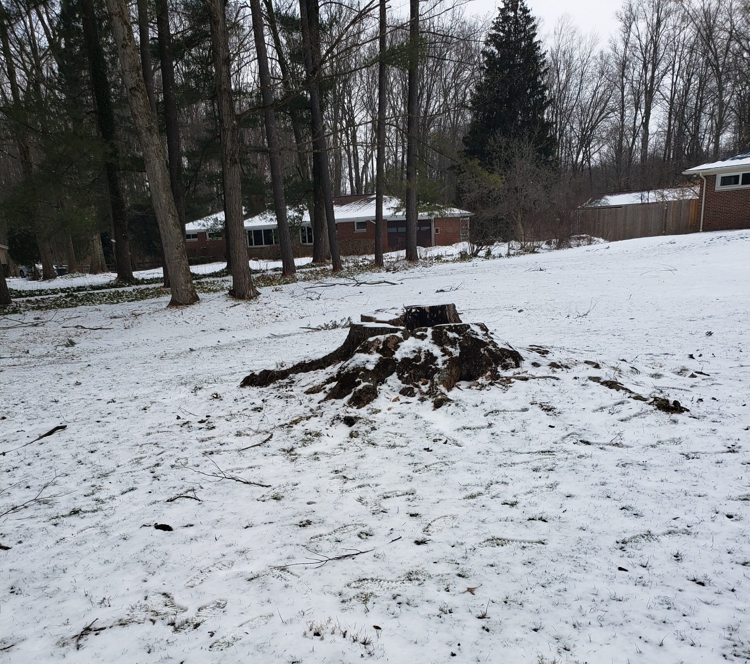 We're The Year‑Round Crew. Some think tree removal is a “summer job.” Not us. Our team works year‑round, bundled up and ready to cut through ice, snow, and excuses. Winter is just another season to keep your property safe and clear.