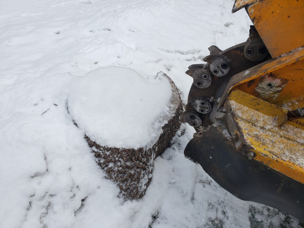 One cut, endless possibilities. Roots run deep, but our removal runs deeper.