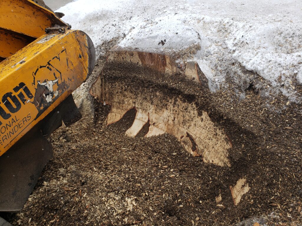 The Business Boost. A small café wanted to expand its outdoor seating, but a giant stump blocked the patio plans. Once removed, the café added tables, string lights, and cozy corners. Customers loved the new space, and the stump removal turned into a surprising business upgrade.