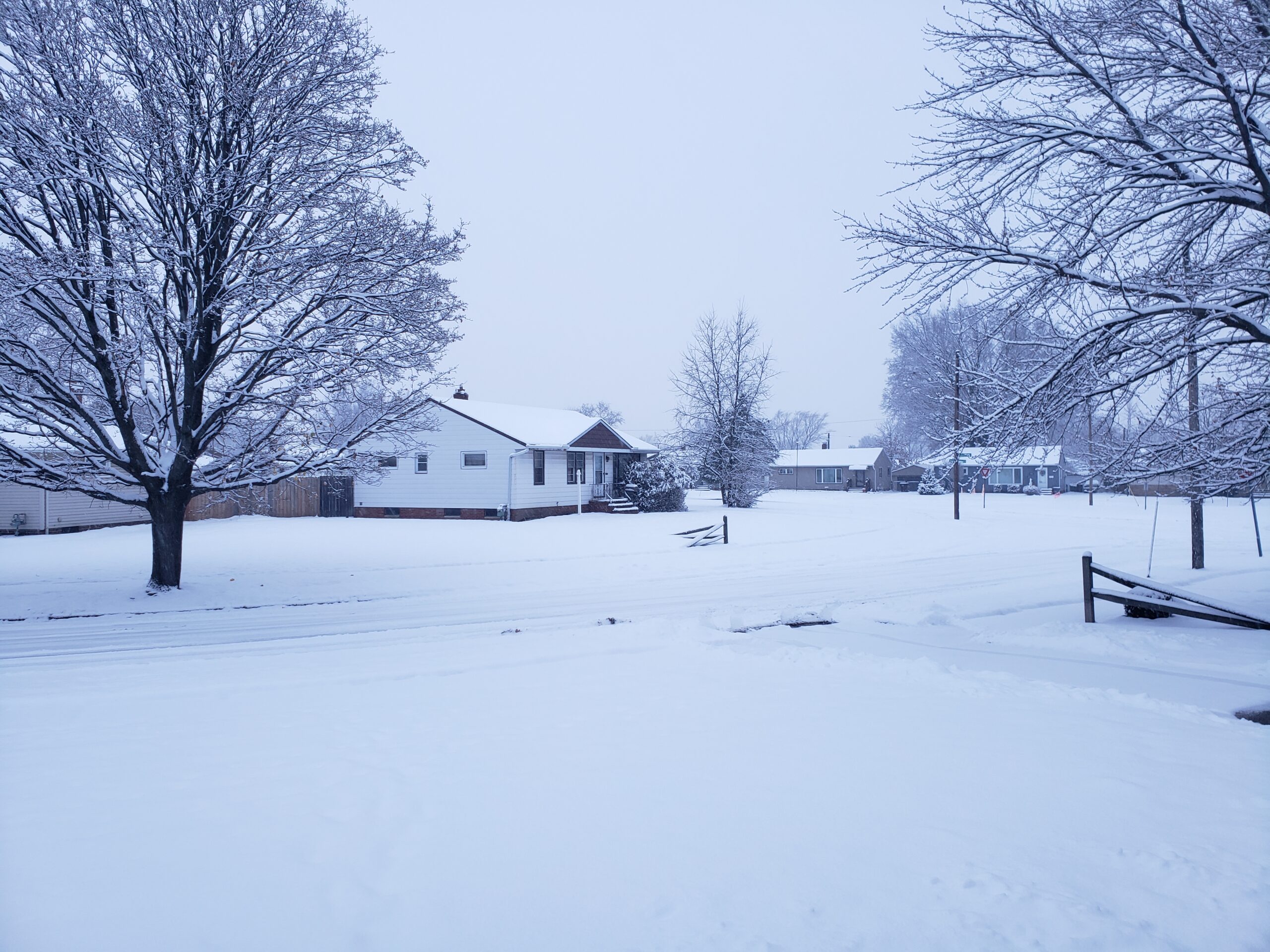 The Storm Risk. After heavy snow, the Miller family noticed their old pine leaning dangerously close to the house. A quick winter tree removal prevented what could have been a costly roof repair. Now, they rest easy knowing their home is safe from storm damage.