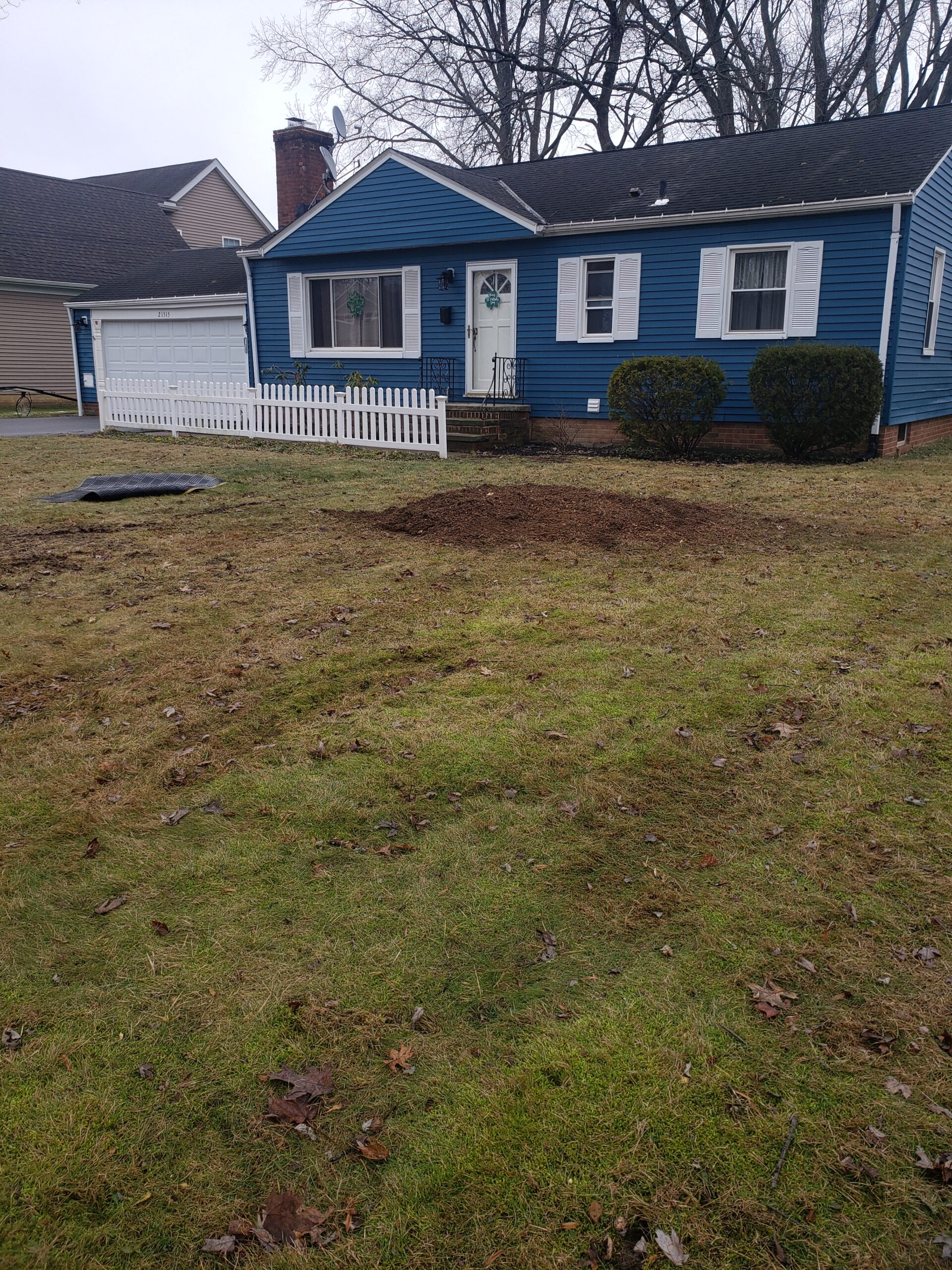 The first real hint of spring hit us today — that soft morning fog, the pine in the air, and a day warm enough to make you forget winter ever happened.
And yes… we were out working in it.